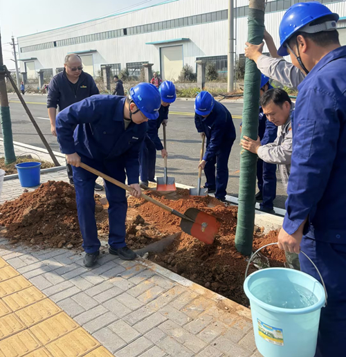 植一抹新綠，種一份希望